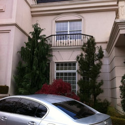 IRON DOORS and GATES - Products
