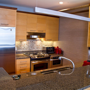 Downtown Madison, WI Condo