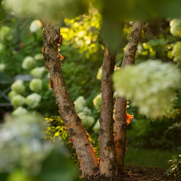 Gardens & Landscapes
