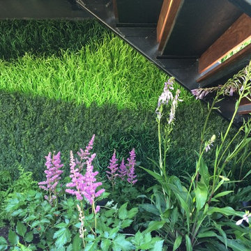 Rooftop Garden III