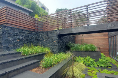 Photo of a large modern landscaping in San Francisco.