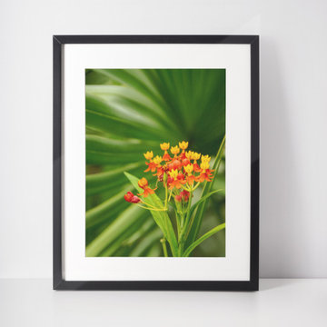 Bloodflowers & Palm Color Floral Nature Photograph Wall Art Print