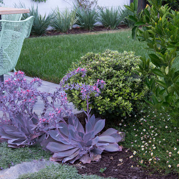 Culver City Modern Classic