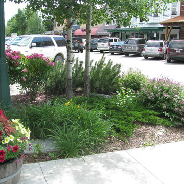 Downtown Whitefish Streetscape