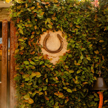 RUSTIC DESIGN