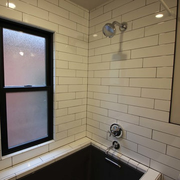 Congress Park Remodel