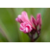 Linda Bennick's photo