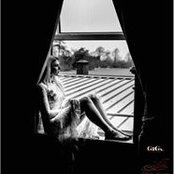 Giga Ginte's photo