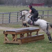 Missy Scarrone's photo
