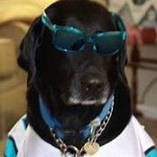 Sharon Woodard's photo