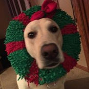 Kelly Menzer's photo