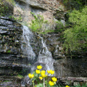 Cherri Bailey's photo