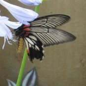 Ellen Anderson's photo