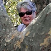 Carol Hapnerさんの写真