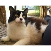 Lauren Giunta's photo