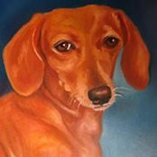 Donna Vroom's photo