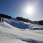 Foto von Christ Tine
