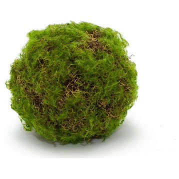 Moss Ball, Set of 4, 4.75"D Plastic