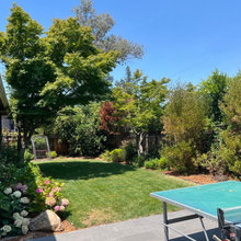 Landscape Design Inspiration