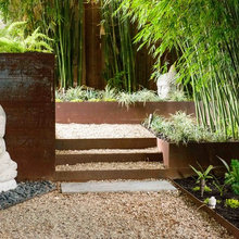 Garden / Yard
