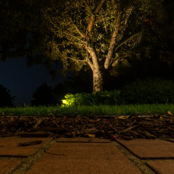 Old To New - Landscape Lighting