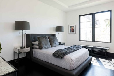 Bedroom - contemporary bedroom idea in Houston