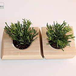 DUO - Products