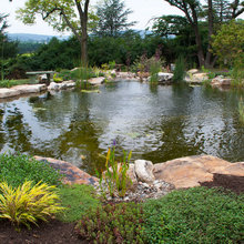 Pond