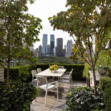 Central Park Apartment