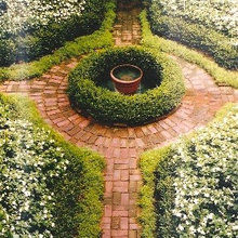 Trumpet Landscape