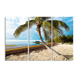 Ready2HangArt - Ready2hangart Bruce Bain 'Beach Palm' Canvas Wall Art - Prints And Posters