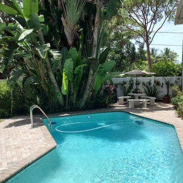 Pool & Paver Remodel