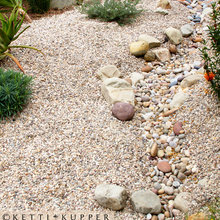 Landscape Ideas
