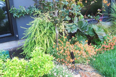 This is an example of an eclectic landscaping in Other.