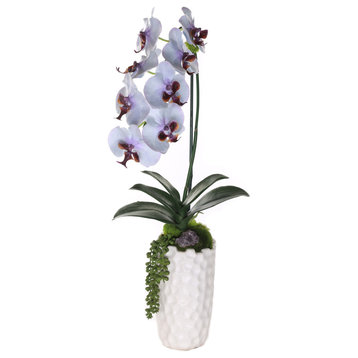 Purple Blue Phalaenopsis Orchid With Amethyst, Ceramic Vase