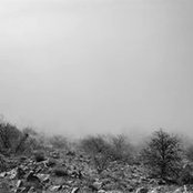 Bo Ro's photo