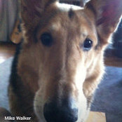 Foto de Mike Walker