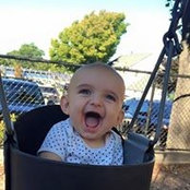 Amy Hodgdon Levine's photo