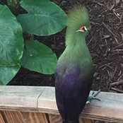 Becky McClintock's photo