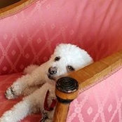 Nadene Bradburn's photo