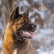 Виталий Курашевs foto