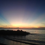 MJ Impastato's photo