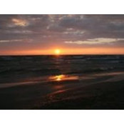 Tracey Strating's photo