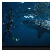 Nick Erbrich's photo