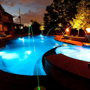 Freeform Pool in Downers Grove, IL