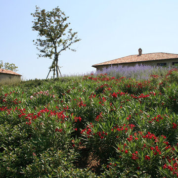 il giardino dell'olmo
