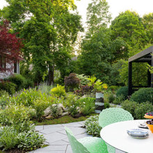 Native Plants
