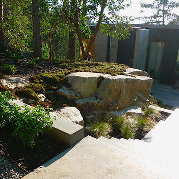 Contemporary Coastal Garden