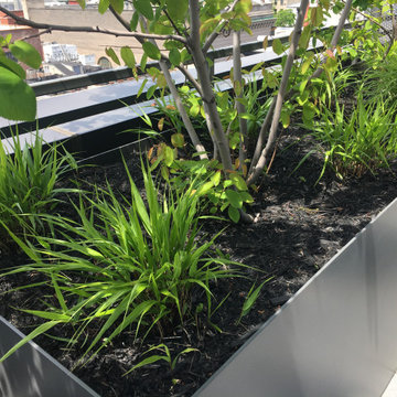 Brooklyn condo common space rooftop