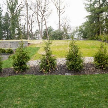 Elevation Oasis
